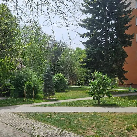 Blisko Centrum, Lotnisko *
