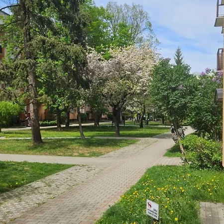 Blisko Centrum, Lotnisko